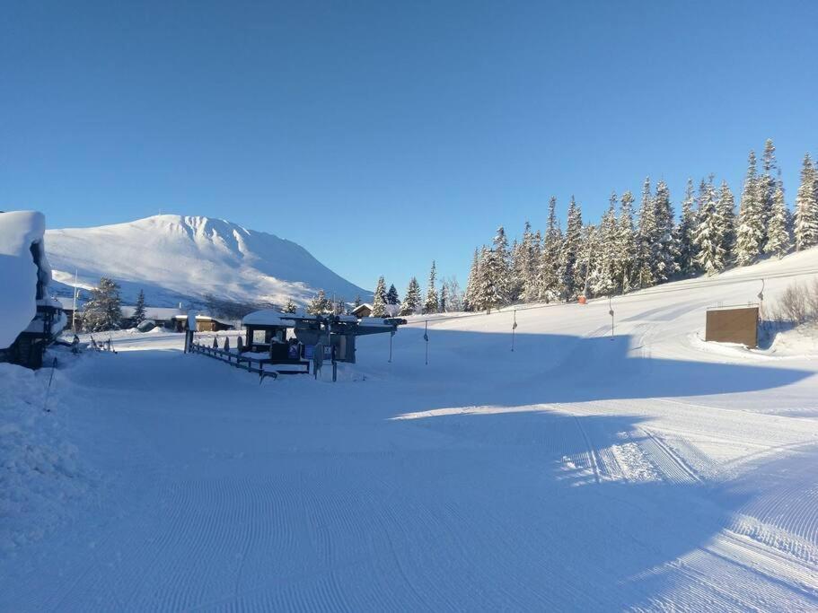 Ski Inn/Out - 4-Room Apartment W/3 Bedroom Gaustablikk Eksteriør bilde