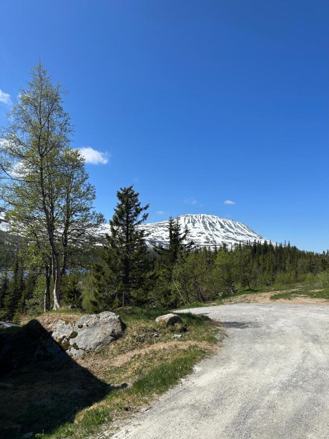 Ski Inn/Out - 4-Room Apartment W/3 Bedroom Gaustablikk Eksteriør bilde